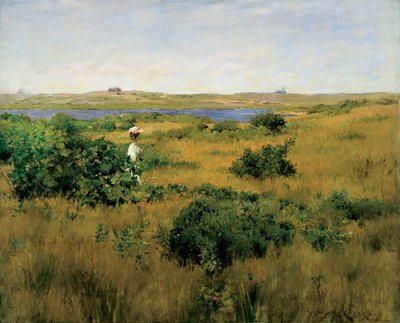 Nyár a Shinnecock Hillsben alkotó: William Merritt Chase