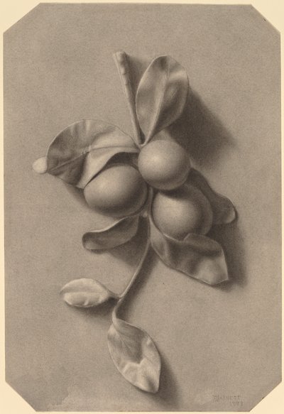 Egy szál szilva alkotó: William Michael Harnett