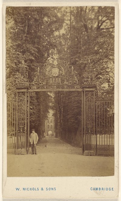 Trinity Cole sugárút alkotó: William Nichols and Sons