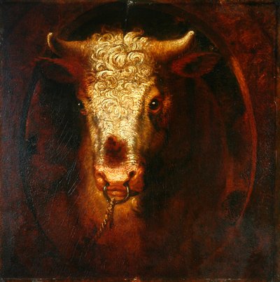 A bikafej (olaj, falemez) alkotó: William Overend Geller