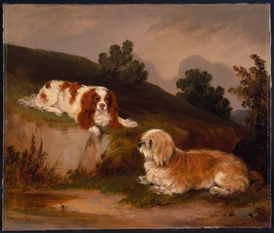 Táj spániellel és terrierrel alkotó: William Pascoe