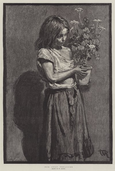 Az egyetlen kincse alkotó: William Rainey