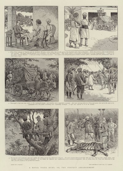 Királyi tigrisvadászat, avagy a tökéletes elrendezés alkotó: William Ralston