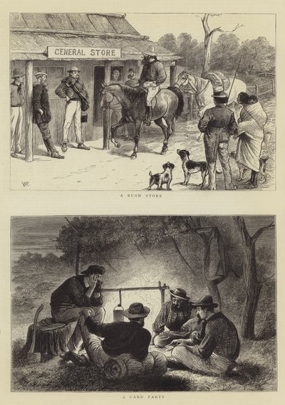 Bozótos élet Queenslandben alkotó: William Ralston