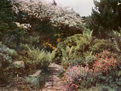  alkotó: William Ransford