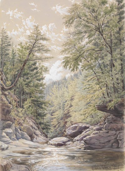 Catskill szegfűszeg Palingsville-ben, 1856. alkotó: William Rickarby Miller
