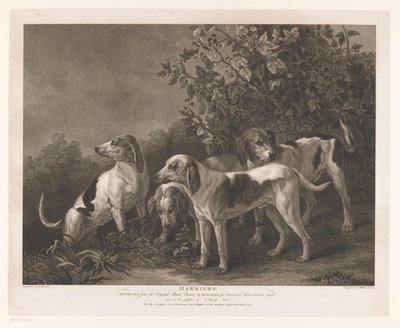 Négy vadászkutya Harriers (cím az objektumon) alkotó: William Satchwell Leney