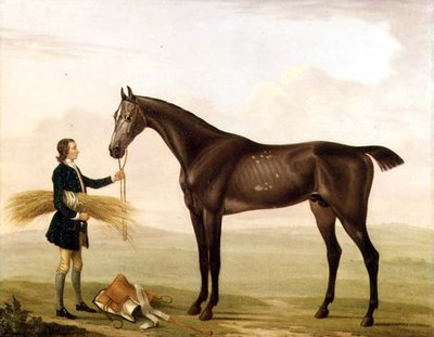 Egy törpeszürke mén, amelyet egy vőlegény tart alkotó: William Shaw