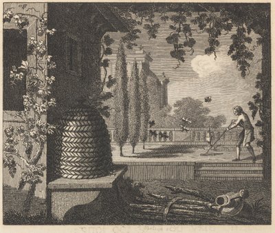 A degenerált méhek alkotó: William Skelton