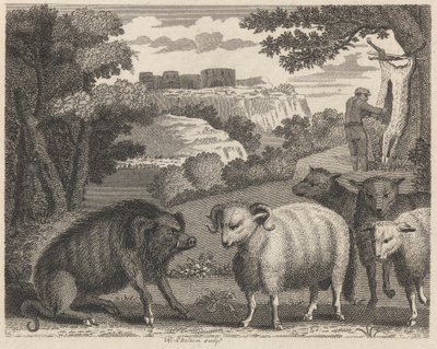 A vaddisznó és a kos alkotó: William Skelton