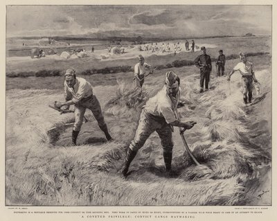 Egy áhított kiváltság, elítélt bandák szénakészítése alkotó: William Small