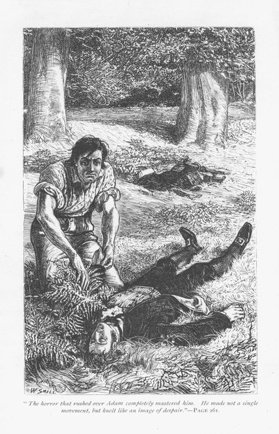 Adam Bede, miután legyőzte Arthur Donnithorne-t egy harcban, elborzadva látja riválisát, aki eszméletlenül fekszik. Adam Bede, George Eliot, először megjelent 1859-ben. Illusztráció: William Small (1843-1929) egy 1885-ben megjelent kiadásból. alkotó: William Small