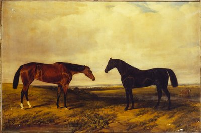 Granard grófjának fényes öböli csókája és sötét öböli ménje, 1885 alkotó: William Snr. Luker
