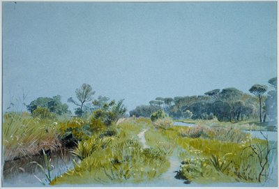 Castel Fusano - Róma közelében alkotó: William Stanley Haseltine