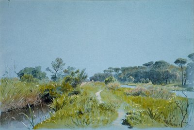Castel Fusano Róma közelében, kb. 1885. alkotó: William Stanley Haseltine