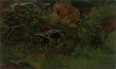 Tanulmány a természetből. alkotó: William Stanley Haseltine