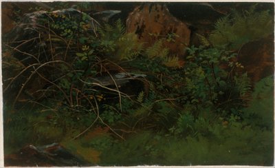 Természet utáni tanulmány alkotó: William Stanley Haseltine