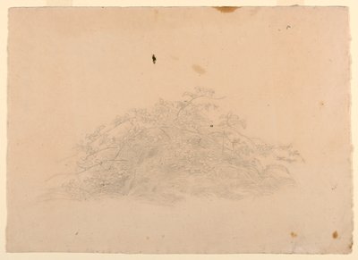 A lombozat tanulmányozása alkotó: William Stanley Haseltine