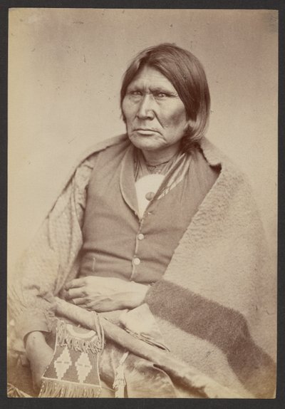 Comanche Chief Horseback [Tuh-huh-yet, Nau-qua-hip, Champion Rider] alkotó: William Stinson Soule