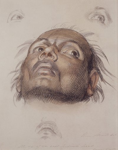 Tanulmány egy kelet-indiai fejről, 1875 körül (kréta és mosószer papíron) alkotó: William Strutt