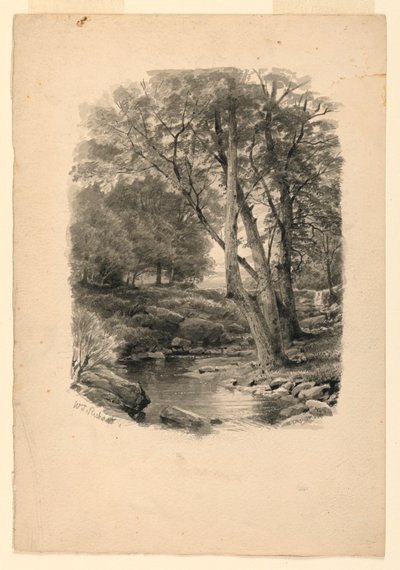 Rajz, Medence az erdőben, 1874 alkotó: William Trost Richards