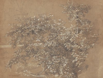 Lombozat alkotó: William Trost Richards