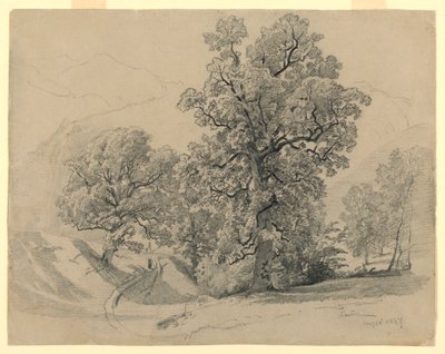 Táj, Lauterbrunnen, Svájc alkotó: William Trost Richards
