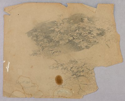 A lombozat tanulmányozása alkotó: William Trost Richards