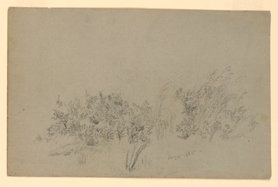 A lombozat tanulmányozása alkotó: William Trost Richards