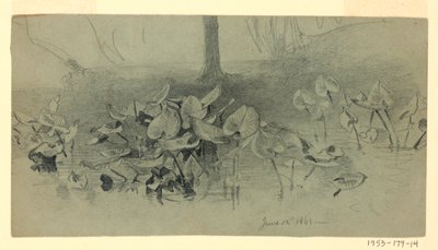 A lombozat tanulmányozása alkotó: William Trost Richards