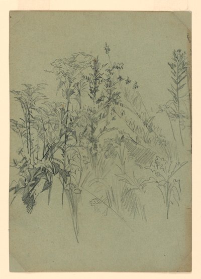 A lombozat tanulmányozása alkotó: William Trost Richards