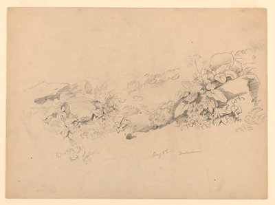 Lombozat tanulmányozása, Trachselwald, Bern, Svájc alkotó: William Trost Richards