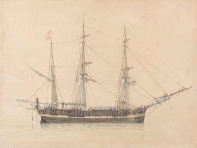 A Hull "Truelove" bálnavadász alkotó: William Ward