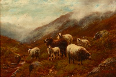 Highland Sheep On a Hillside (olaj, vászon) alkotó: William Watson