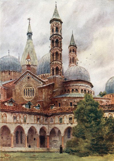 Padua. S. Antonio (colour litho)   1408171   hu       hungarian Successfully Translated  Original: Townsends Sandpiper Translat: Townsend