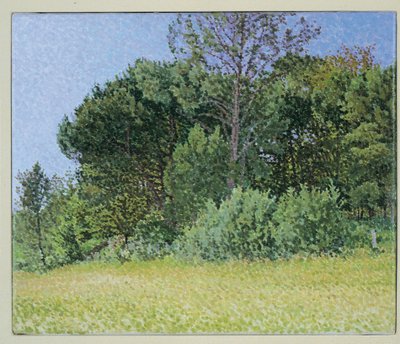 Este Dordogne alkotó: William Wilkins