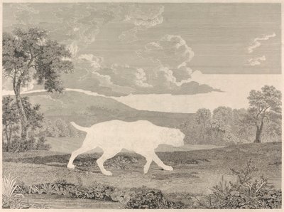 [Lövés] A spanyol mutató alkotó: William Woollett