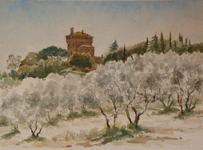 883 Pal Massaini, nr Pienza alkotó: Wilson Clive
