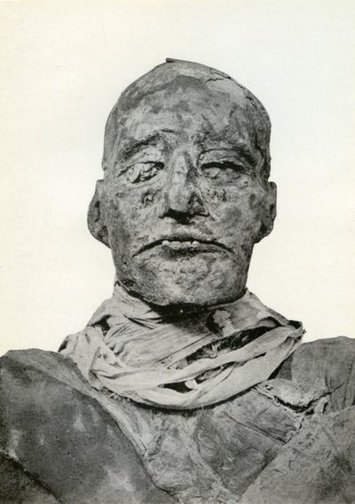 III. Ramszesz, a 20. dinasztia ókori egyiptomi fáraójának múmiájának feje, Kr.e. 1156, 1926 alkotó: Winifred Mabel Brunton