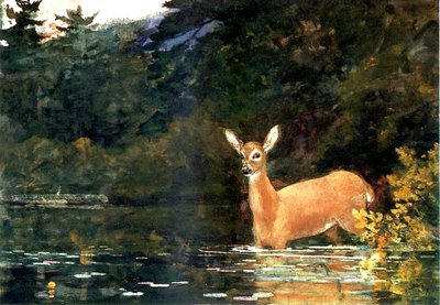 A Doe, 1889 alkotó: Winslow Homer