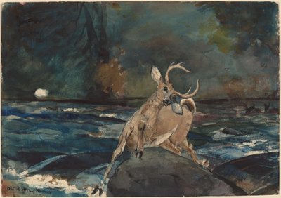 Egy jó lövés, Adirondacks, 1892. alkotó: Winslow Homer
