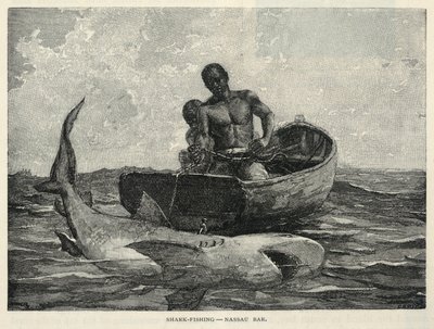 Egy házaló, egy nassaui kapu, cápahorgászat--Nassaui bár, a The Century Magazine, 1887. február 1887-ből alkotó: Winslow Homer