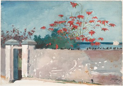 Egy fal, Nassau alkotó: Winslow Homer