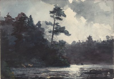 Adirondack-tó alkotó: Winslow Homer
