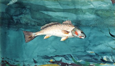 Csatorna basszusgitár, 1904. alkotó: Winslow Homer