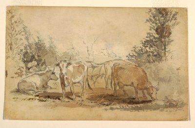 Rajz, Négy tehén legelészik a legelőn, 1855-60 körül. alkotó: Winslow Homer