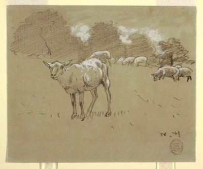 Rajz, Mezőn legelésző birkák, 1875-78 körül. alkotó: Winslow Homer