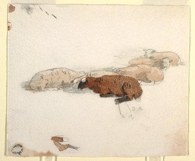Rajz, Pihenő birka, 1878 alkotó: Winslow Homer