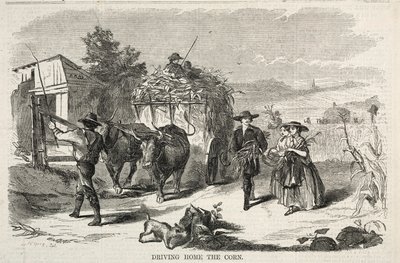 A kukorica hazahajtása alkotó: Winslow Homer