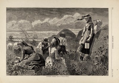 Bogyók gyűjtése, Harper